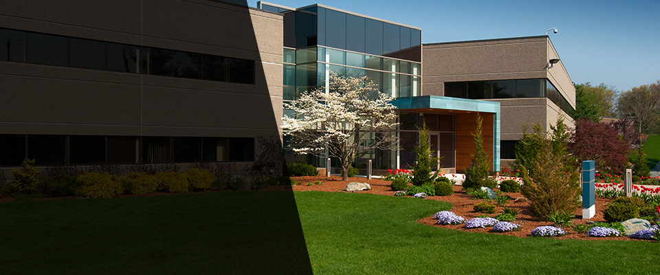 Port Monmouth Landscapers