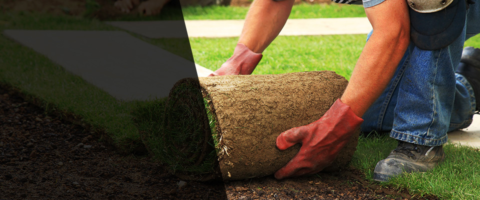 Port Monmouth Landscapers